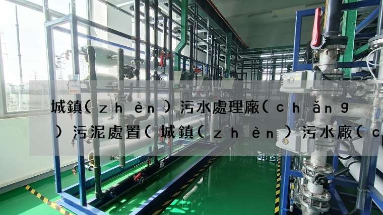 城鎮(zhèn)污水處理廠(chǎng)污泥處置(城鎮(zhèn)污水廠(chǎng)該何去何從)