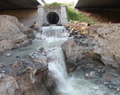 讓廢水變“活水”！鎮(zhèn)海再生水“養(yǎng)”出生態(tài)濕地公園